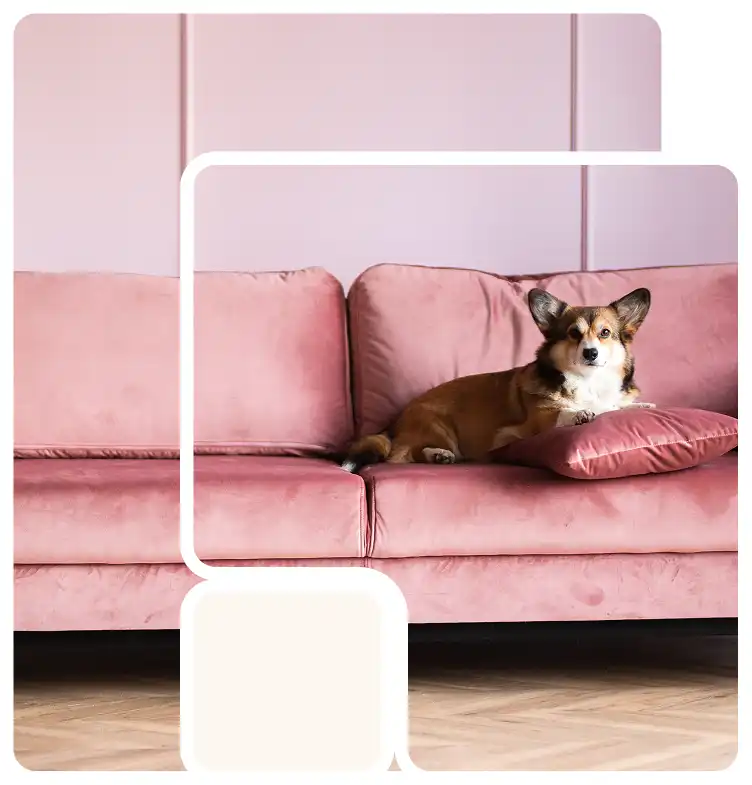 Viager appartement